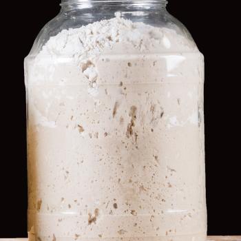 RYE SOURDOUGH/ZAKWAS ŻYTNI "PISKOREK" recipe