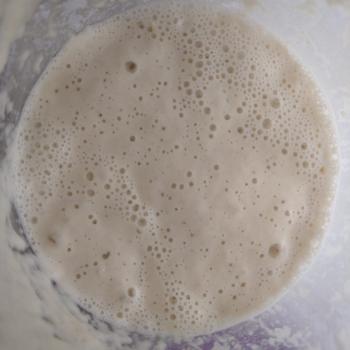 María Ajiaco recipe