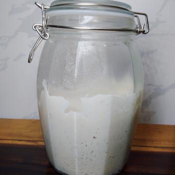 Simbyont recipe