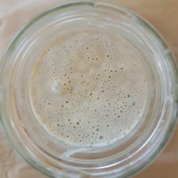 Sparove droži jar shot