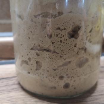 Srđan jar shot
