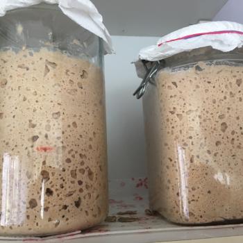 Starter recipe
