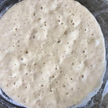 Starter recipe