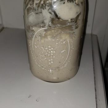 Stephen J recipe