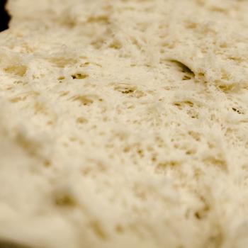 Terente recipe
