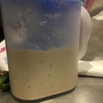 The Happy Place Starter recipe