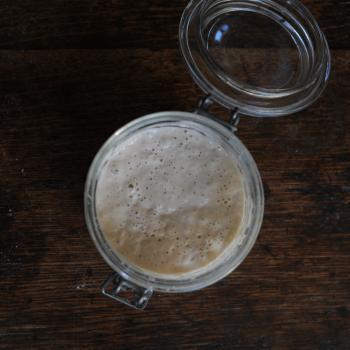 The Sourdough School  jar shot