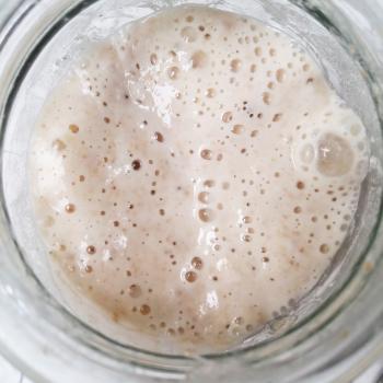 Umi recipe