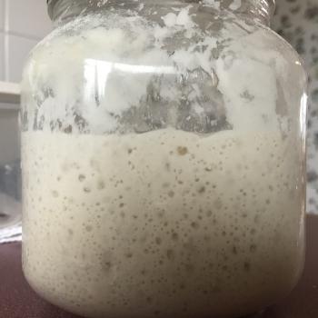 Walter recipe