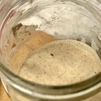 Wheat Starter front shot