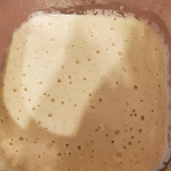 Willie recipe