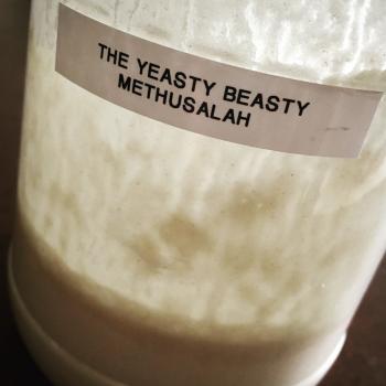 Yeasty Beasty Methuselah recipe
