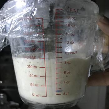 Zoe recipe